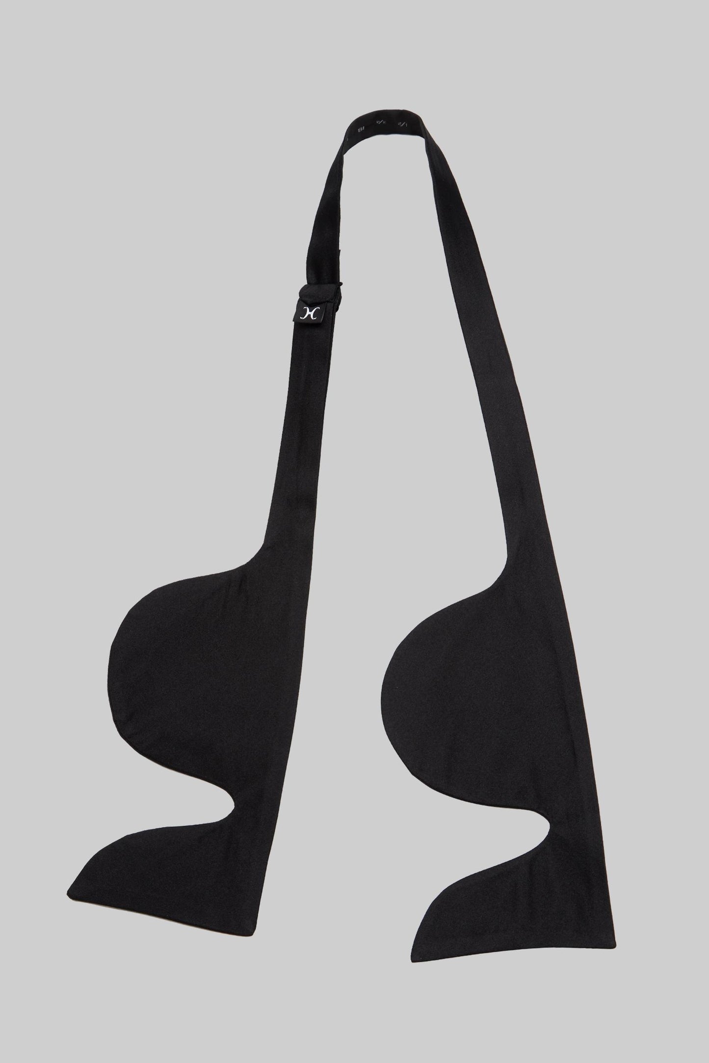 Nœud papillon noir